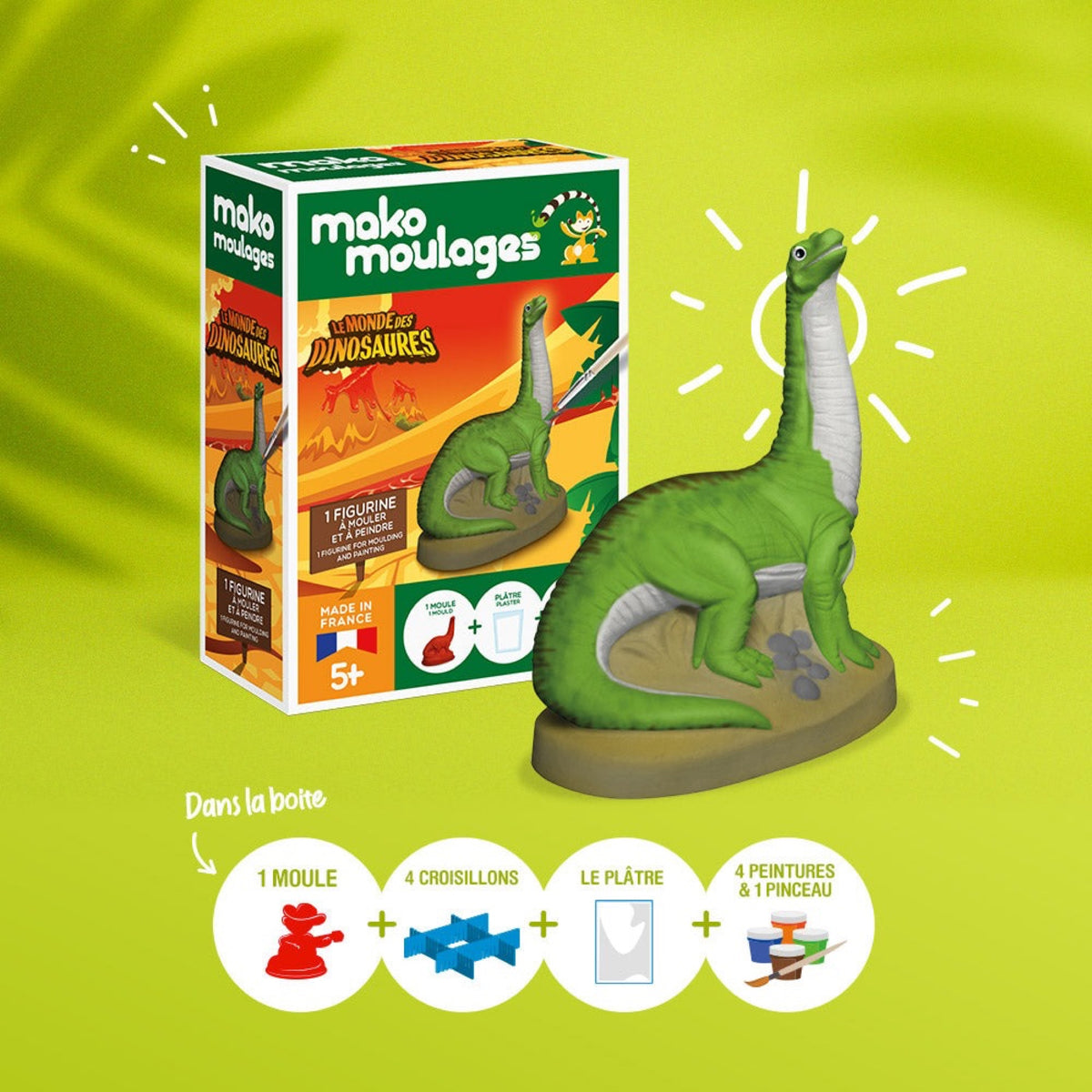 Kit de moulage dinosaure en boîte unitaire — mako moulages — Diplodocus — autre vue 2 | Appart 17 Bruxelles