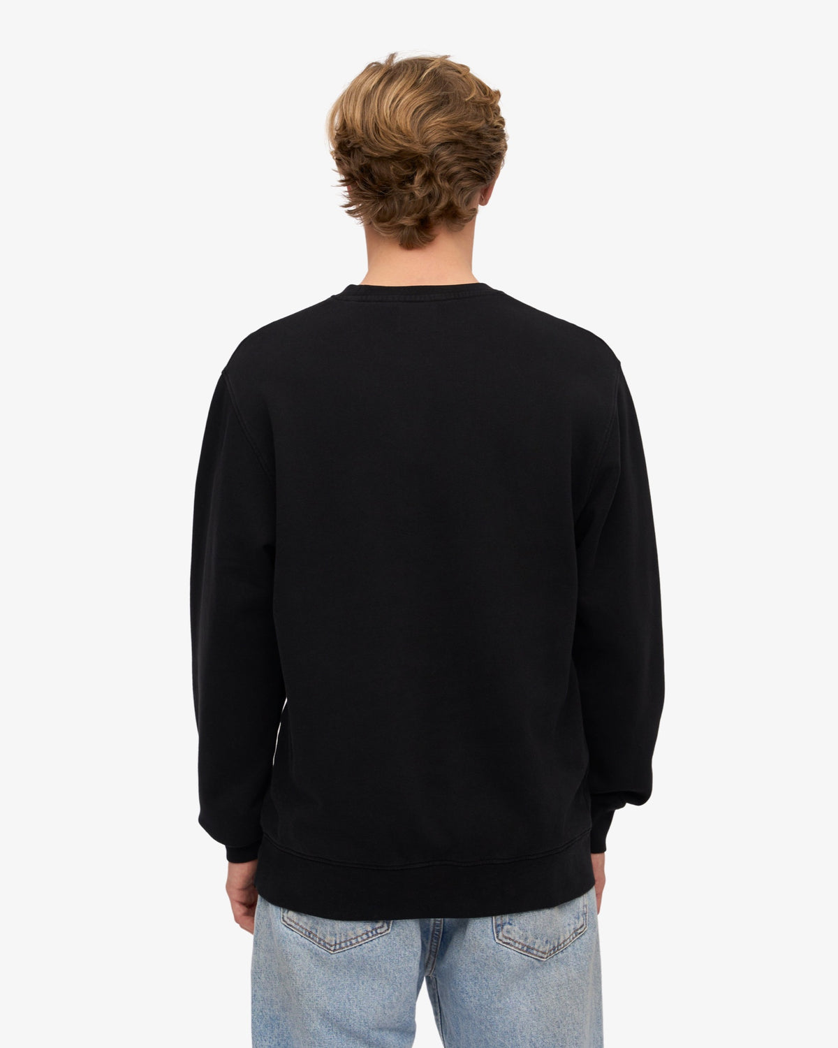 Colorful Standard Classic Organic Crew Sweat col rond coton bio — Colorful Standard — Deep Black — porté, vue de dos 4 | Appart 17 Bruxelles