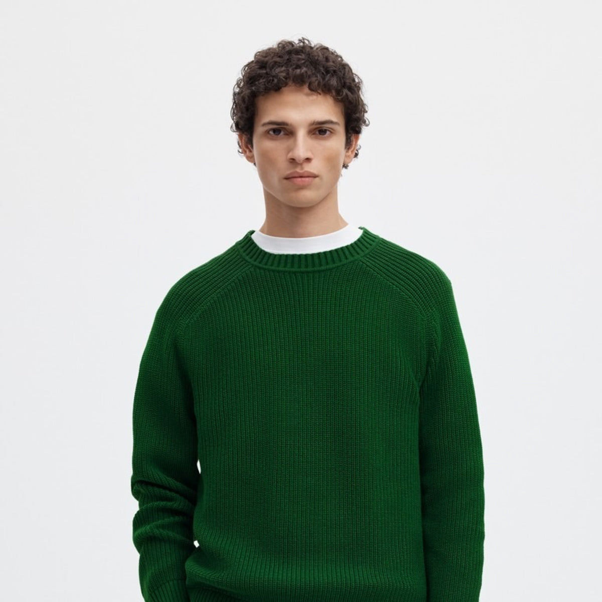 SLMPIM Pull col rond en maille côtelée à manches raglan — Selected Homme — Formal Garden — porté, de face | Appart 17 Bruxelles