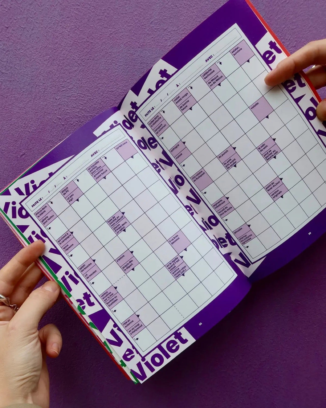 Grillé DOUX — grilles intérieures 4 | Appart 17