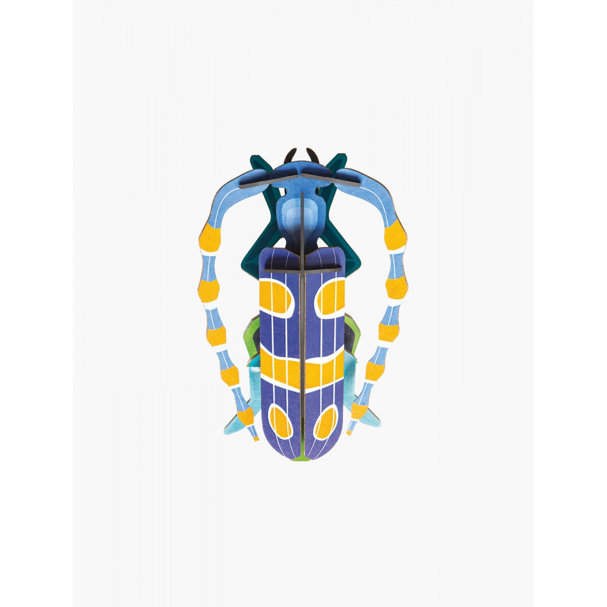rosalia beetle