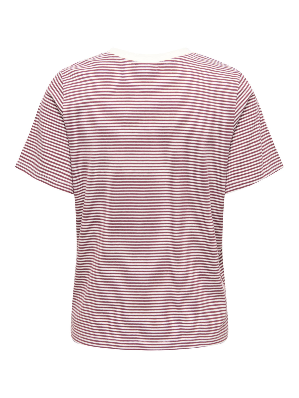 JDYPISA T-shirt col rond en coton bio à imprimé — JDY — Cloud Dancer / Windsor Wine Stripes — packshot dos | Appart 17 Bruxelles