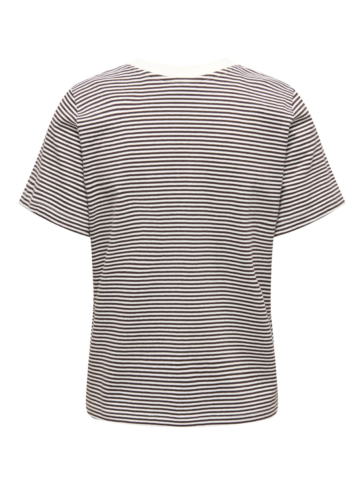 JDYPISA T-shirt col rond en coton bio à imprimé — JDY — Cloud Dancer / Chocolate Torte Stripes — packshot dos | Appart 17 Bruxelles