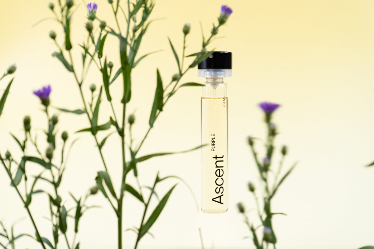 Ascent Refill Extrait de parfum rechargeable 20 ml — Ascent — Purple — en situation | Appart 17 Bruxelles