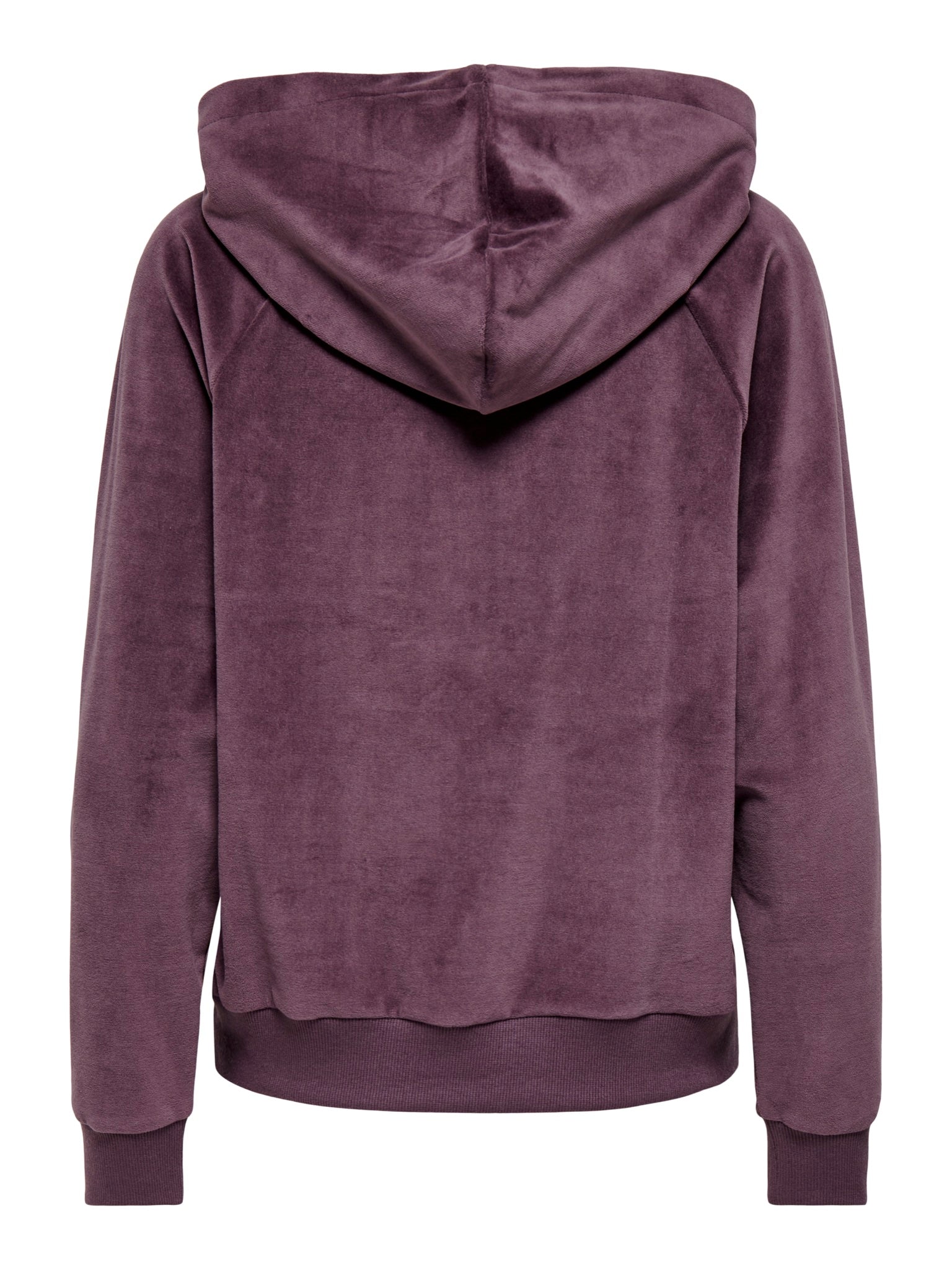 JDYVIDA Sweat à capuche en velours — Huckleberry — vue 2
