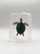 Savon surprise à figurine animal — Ludi Soap — Tortue — packshot | Appart 17 Bruxelles