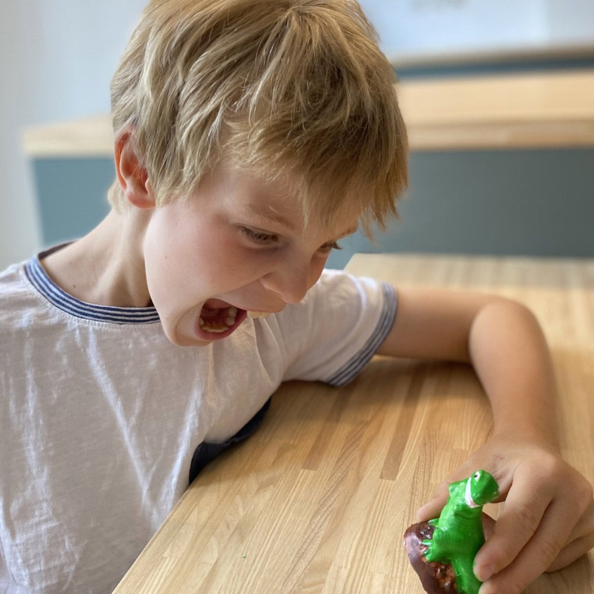 Kit de moulage dinosaure en boîte unitaire — mako moulages — Tyrannosaure — autre vue 4 | Appart 17 Bruxelles