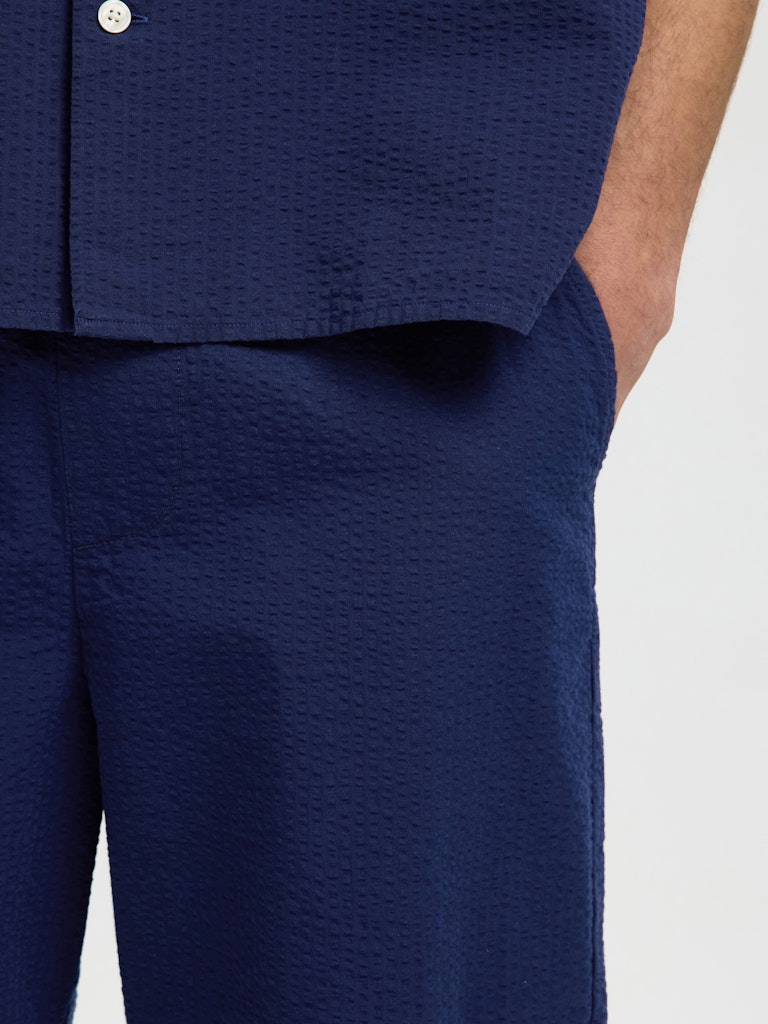 SLHREGSTUART SEERSUCKER SHORTS - SELECTED-MEN_Springsummer_4998356_16101369_5.jpg