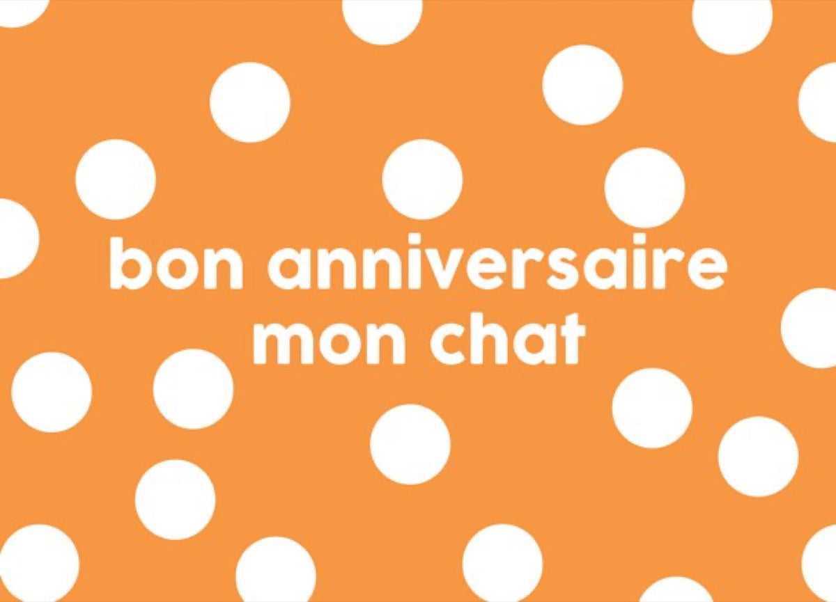Félicie Aussi Carte animée 3D « Bon anniversaire mon chat » — Felicie Aussi — Bon anniversaire mon chat — photo produit | Appart 17 Bruxelles