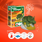 Kit de moulage dinosaure en boîte unitaire — mako moulages — Tricératops — autre vue 2 | Appart 17 Bruxelles