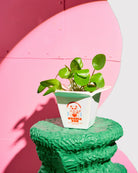 Fluid Market Cache-pot / Vase Ramen boîte à emporter en céramique — Fluid Market — Blanc — en situation 2 | Appart 17 Bruxelles