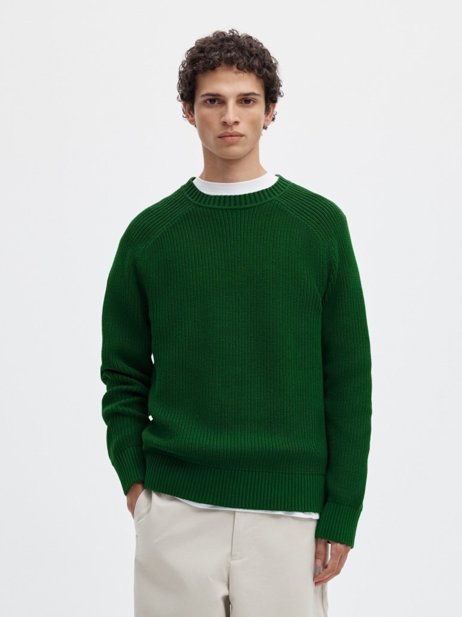 SLMPIM Pull col rond en maille côtelée à manches raglan — Selected Homme — Formal Garden — porté, de face | Appart 17 Bruxelles