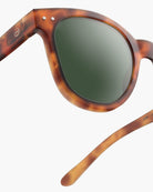 Lunettes de soleil trapèze #N Havane – Izipizi | Appart 17